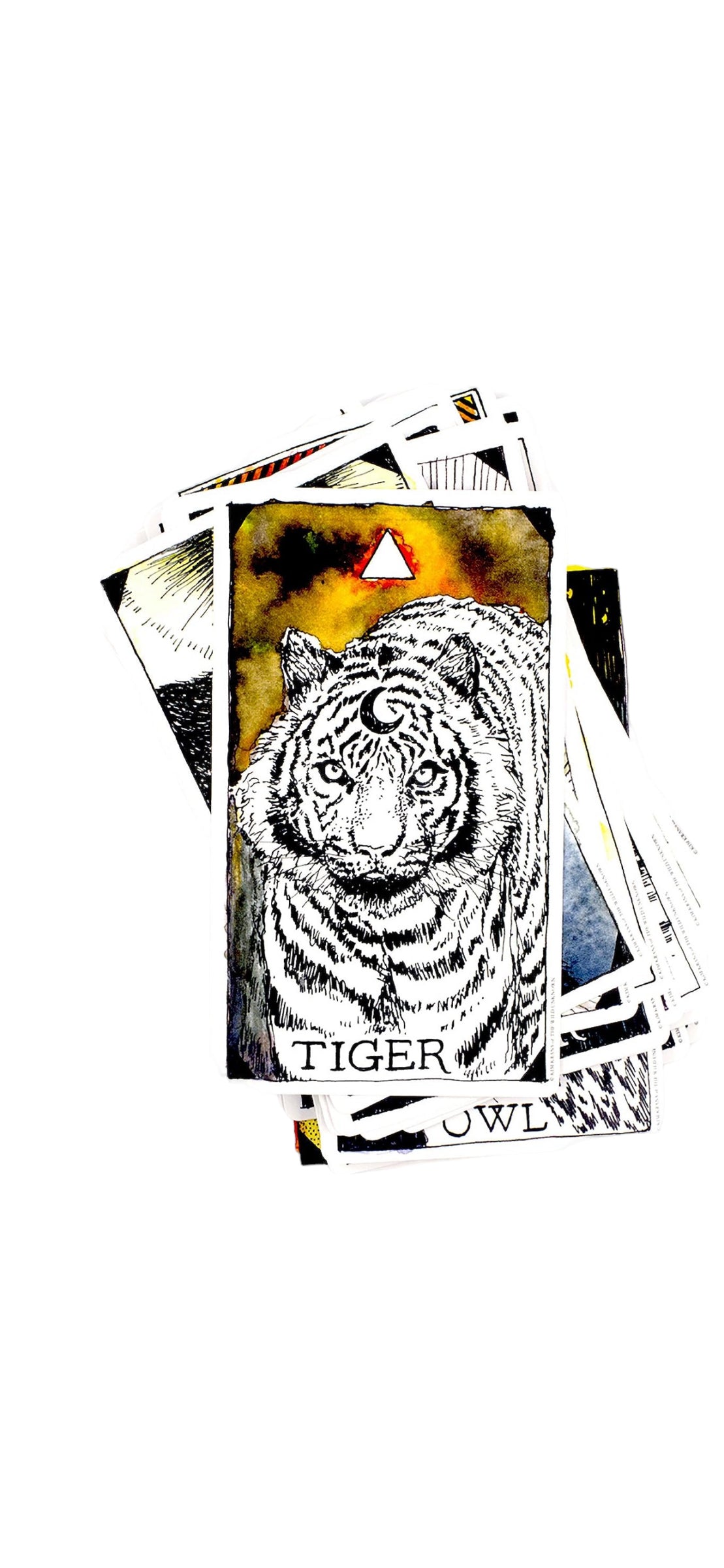 Kim Krans: The Wild Unknown Animal Spirit Deck and Guidebook