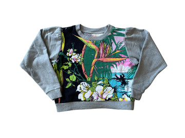 Lake sweatshirt in Surfing Safari