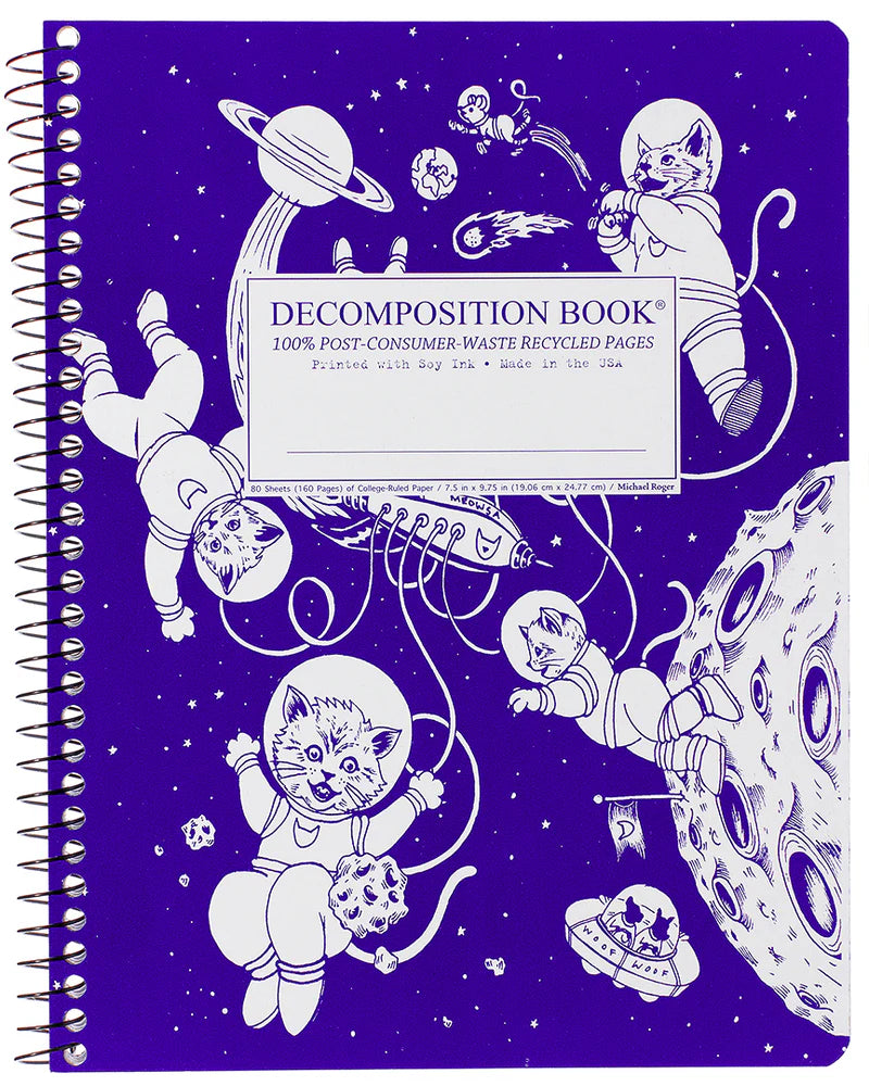 Decomposition Kittens in Space Spiral Notebook: Large