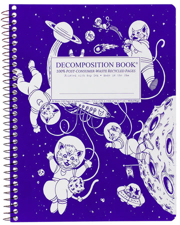 Decomposition Kittens in Space Spiral Notebook: Large