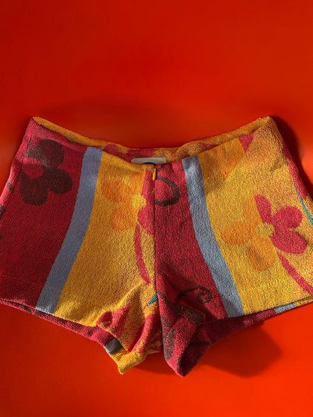 Queen Bee Shorts in Ladybug Picnic